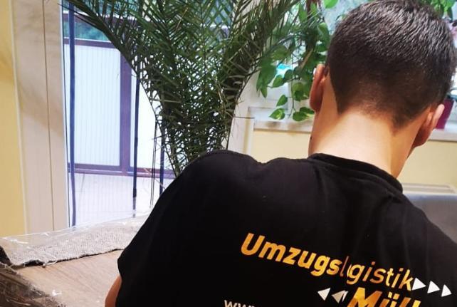 Laborumzug Panschwitz-Kuckau stressfrei umziehen 